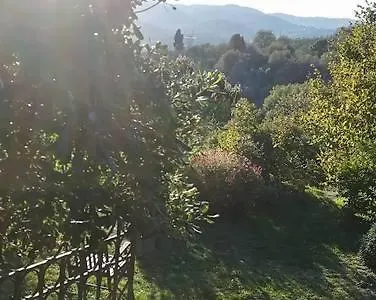 Vitamina Bed & Breakfast Civitella in Val di Chiana